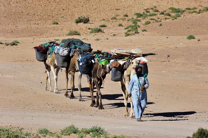 6 days trekking To The heart of Desert - Authentic Experiences and What Reviewers Say