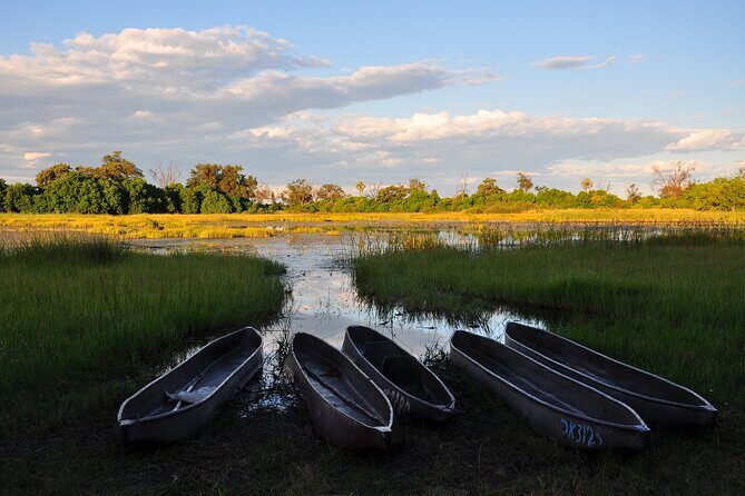 6 Days Victoria Falls Chobe Wildlife and Okavango Delta Tour - Key Points