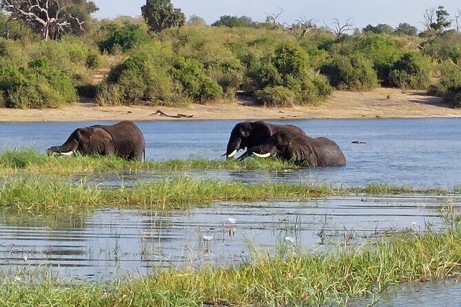 6 Days Victoria Falls Chobe Wildlife and Okavango Delta Tour - Introduction to the Journey