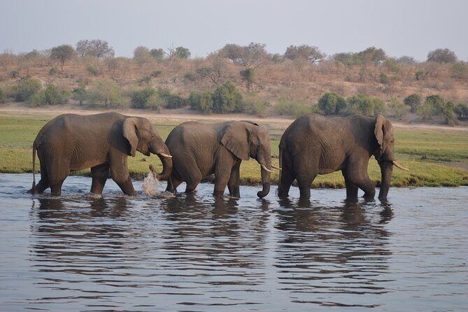 6 Days Victoria Falls Chobe Wildlife and Okavango Delta Tour - Authentic Experiences & Insider Tips
