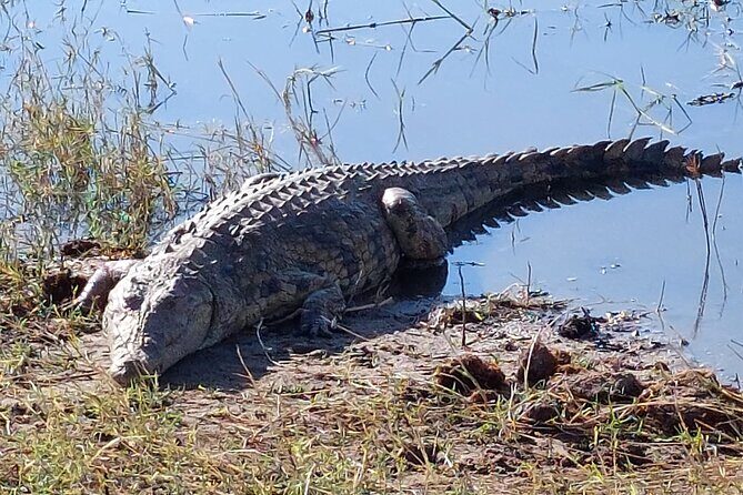 6 Days Victoria Falls Chobe Wildlife and Okavango Delta Tour - Final Thoughts: Is This Tour Worth It?