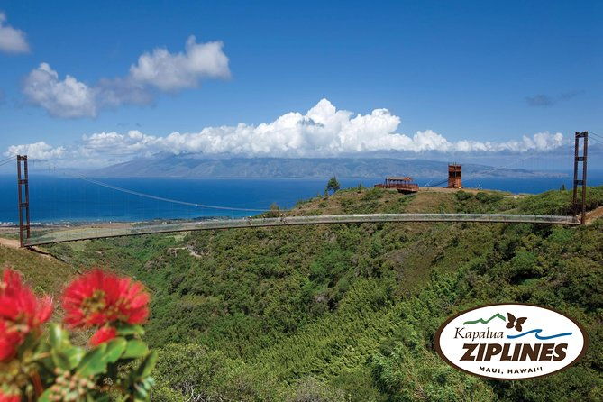 6-dual-zipline-mountain-adventure-in-maui