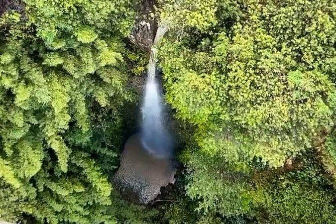 6-dual-zipline-mountain-adventure-in-maui