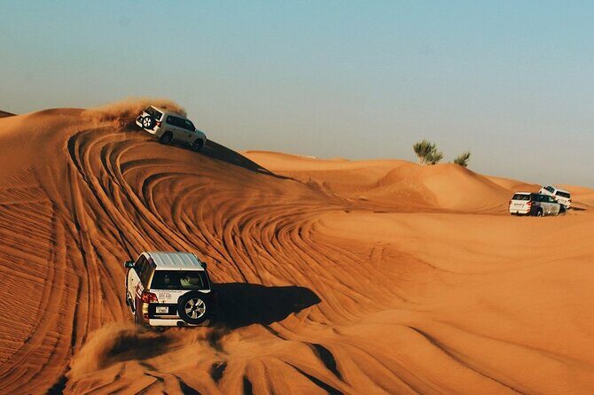 6-Hour Private Desert Safari Experience with BBQ Dinner in Dubai - Who Would Love This Tour?  