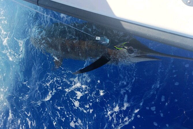 6-hour-private-fishing-charter-kona-hawaii