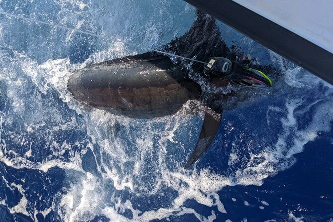 6-hour-private-fishing-charter-kona-hawaii