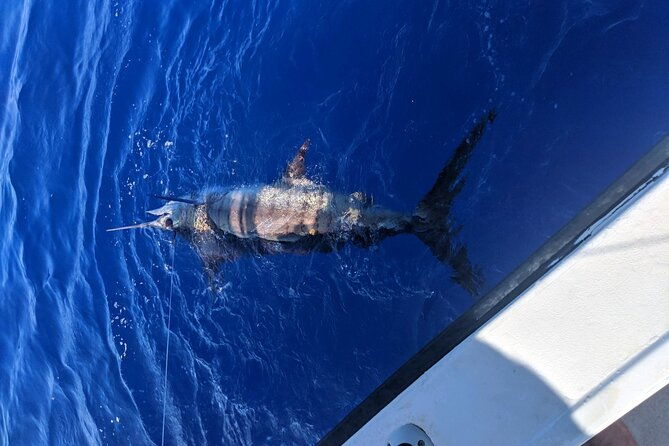 6-hour-private-fishing-charter-kona-hawaii