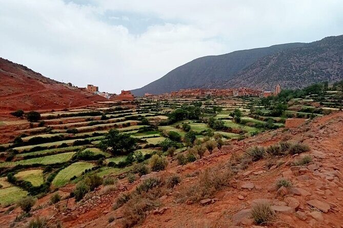 6-hour private hike to discover Berber villages - Why This Tour Offers Great Value