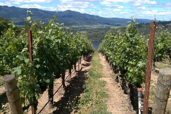 6-hour-private-napa-limousine-wine-tour-style-wine