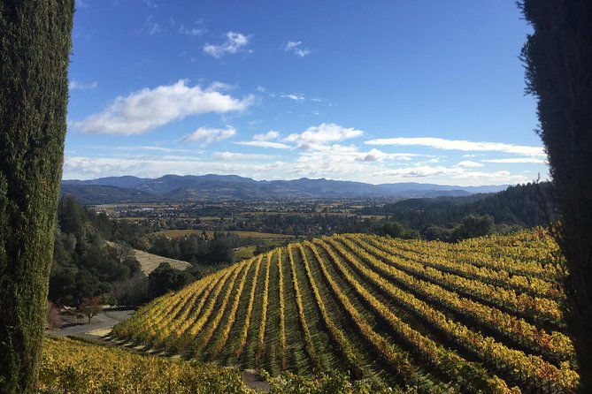 6-hour-private-napa-wine-tour-in-a-lincoln-mkt-crossover-up-to-4-passengers-2