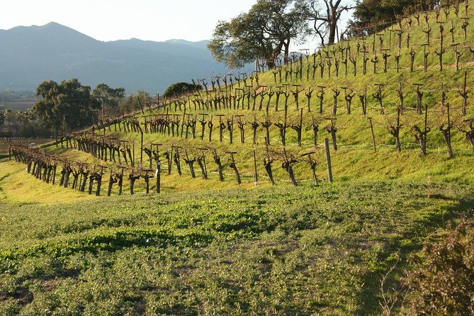 6-hour-private-wine-country-tour-of-napa-in-crossover-suv-up-to-6-people