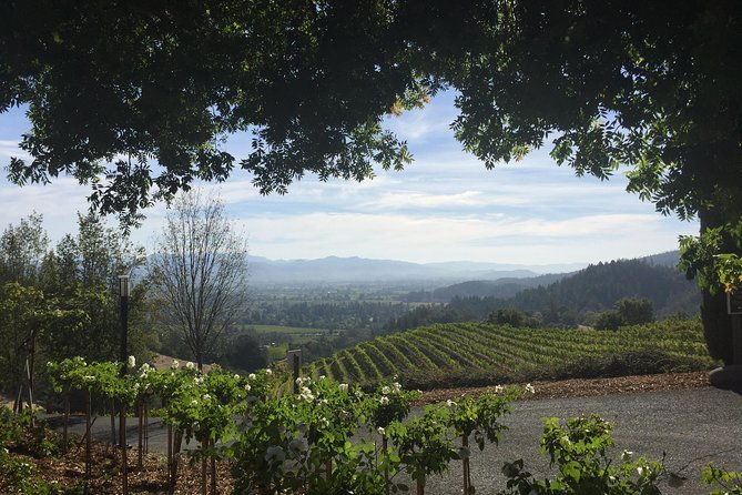 6-hour-private-wine-country-tour-of-napa-valley-up-to-6-people-in-large-suv-2