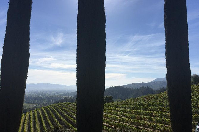 6-hour-private-wine-country-tour-of-napa-valley-up-to-6-people-in-large-suv-2