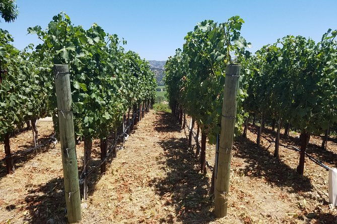 6-hour-private-wine-country-tour-sedan-suv-or-limo