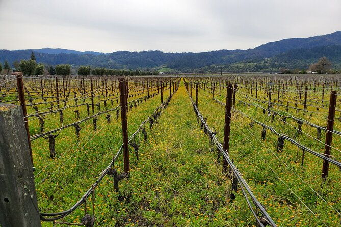 6-hour-sparkling-wine-tour-of-napa-valley