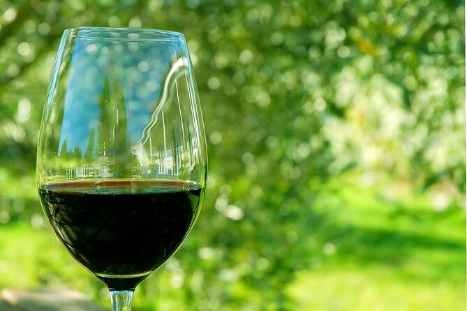 6-hour-variety-wine-vineyard-tour-in-napa-valley