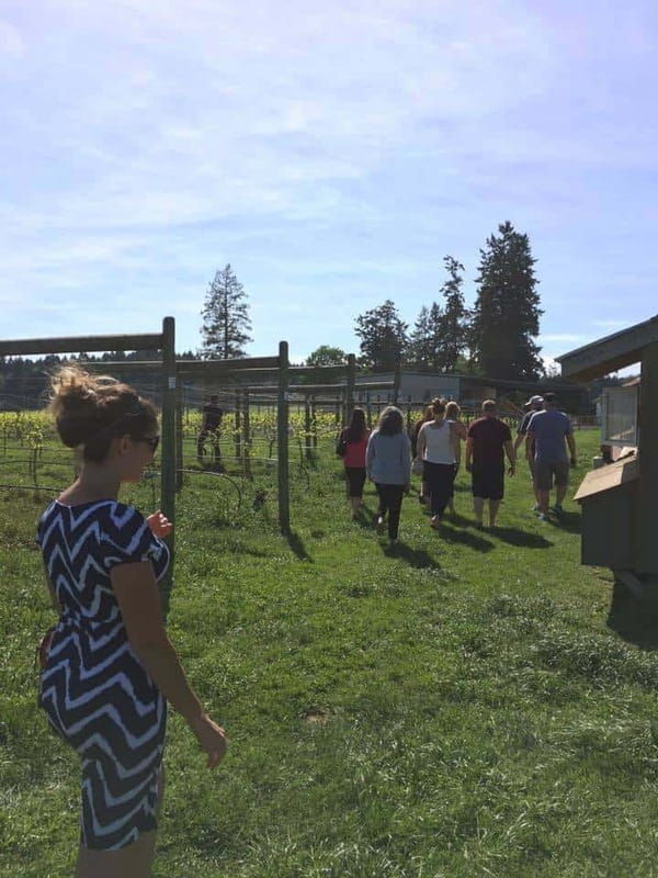 6-hour-victoria-to-cowichan-wine-tour