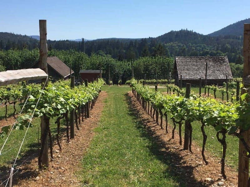 6-hour-victoria-to-cowichan-wine-tour