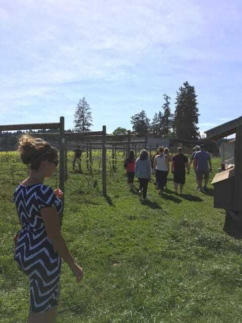6-hour-victoria-to-cowichan-wine-tour