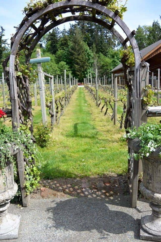 6-hour-victoria-to-cowichan-wine-tour
