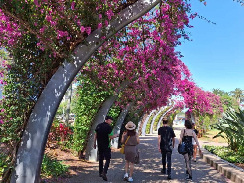 6 Hour Welcome to Brisbane Private Sightseeing Private Tour - Final Thoughts