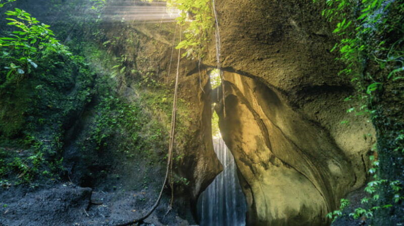 6-hours-car-charter-for-ubud-day-tour