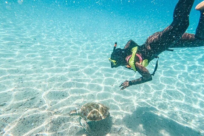 6-hours-guided-beach-escape