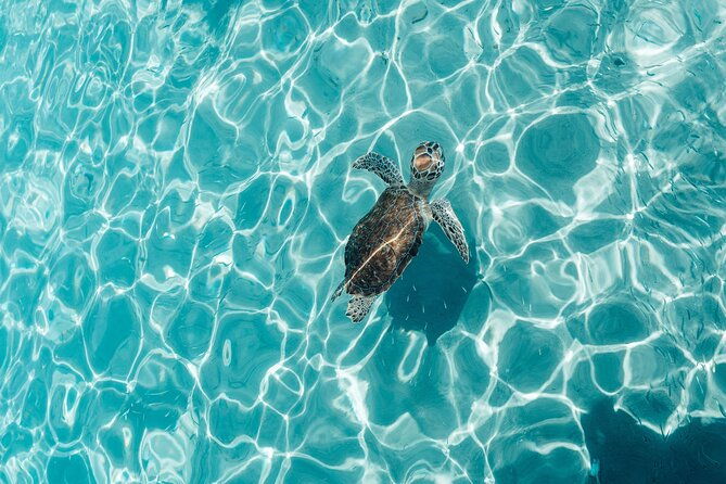 6-hours-guided-beach-escape