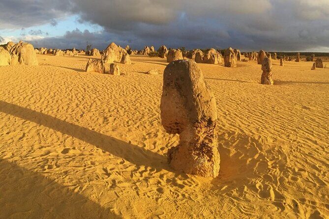 6 Hours Pinnacles Express Tour - What Travelers Can Expect and What to Keep in Mind