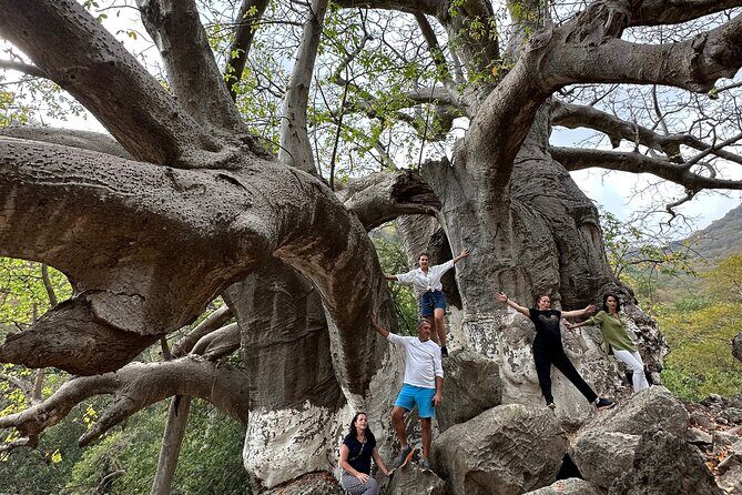 6 Hours Private Hiking in Salalah Mountains - Who Should Consider This Tour