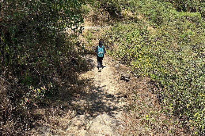 6 Hours Private Hiking in Salalah Mountains - FAQ