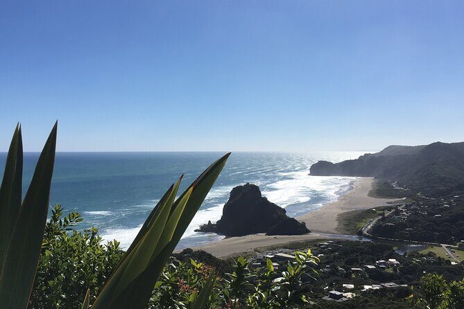 6 Hours Sightseeing Tour in Auckland - Exploring the Itinerary in Detail