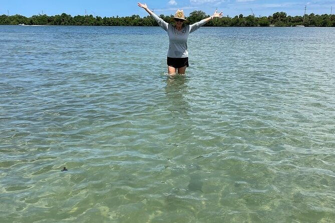6-hr-tropical-mangroves-coastal-river-and-ocean-wildlife-watch-2