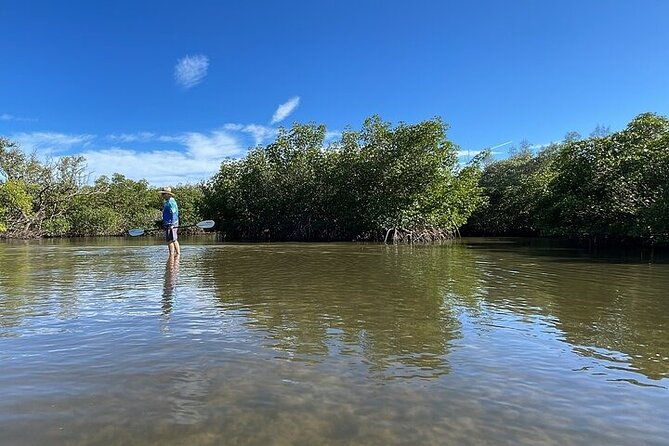 6-hr-tropical-mangroves-coastal-river-and-ocean-wildlife-watch
