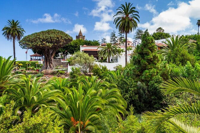 6-hrs-private-tour-in-tenerife