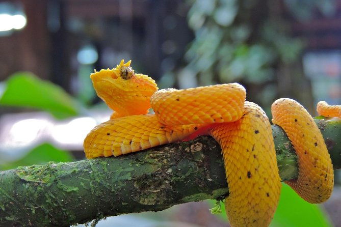 6-in-1-rainforest-adventure-from-san-jose