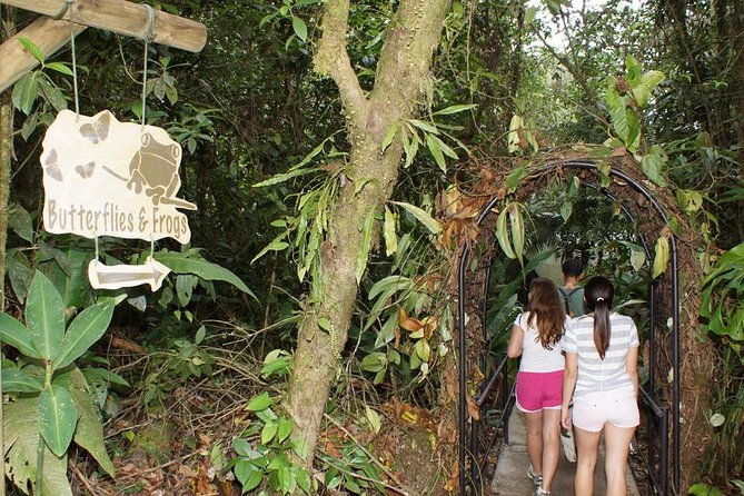 6-in-1-rainforest-adventure-from-san-jose