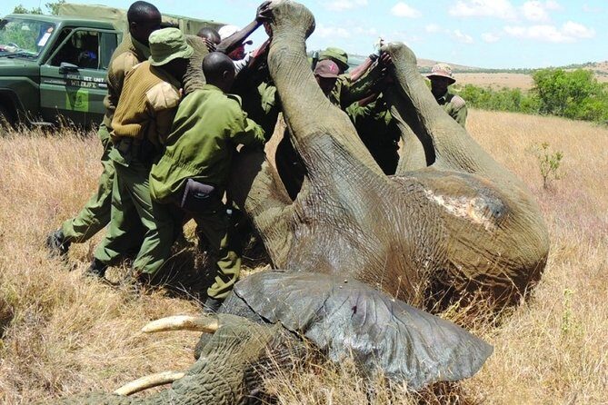6 nights 7 days Masai Mara budget safari. - Key Points