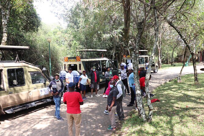 6 nights 7 days Masai Mara budget safari. - Practical Insights for Future Travelers