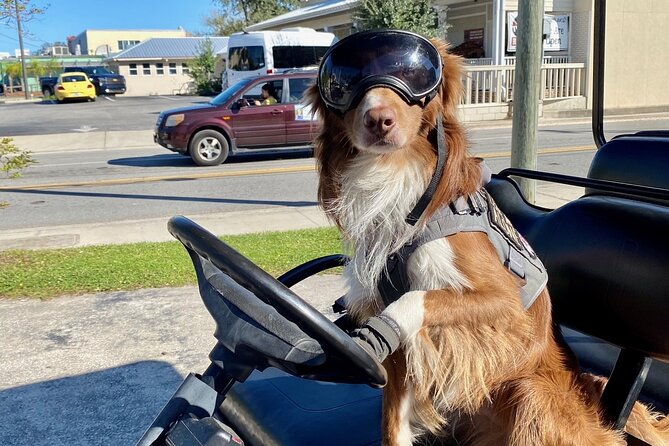 6-passenger-golf-cart-rental-in-key-west