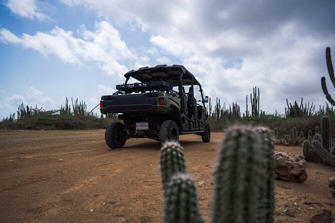6-seat-utv-8-hour-rental-in-kralendijk