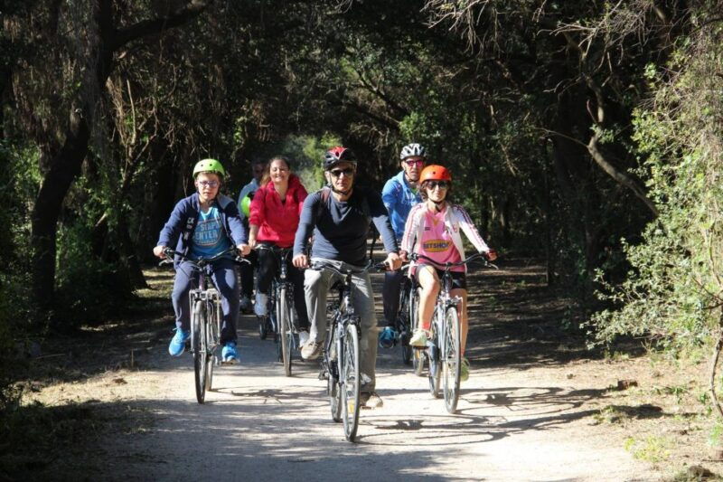 6-speed-citybike-rental-in-palermo