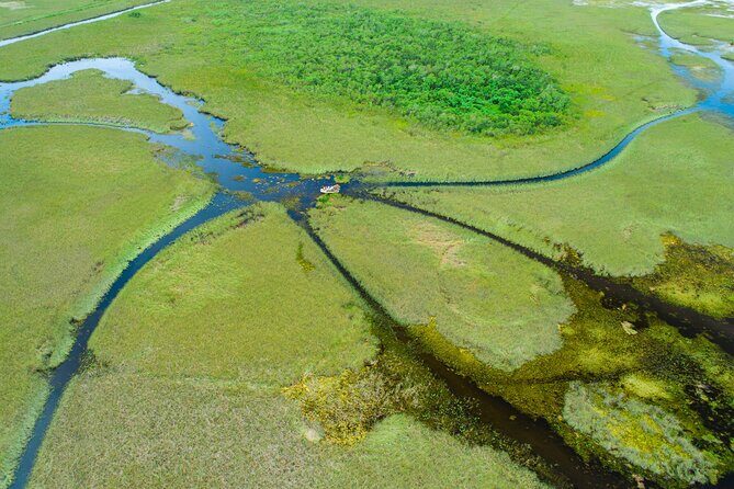 60 min. Everglades Airboat ride & pick-up ,small group +pro guide - The Practical Aspects  