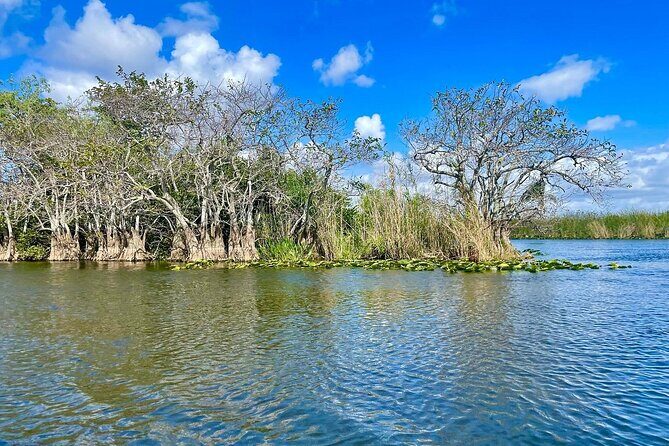 60 min. Everglades Airboat ride & pick-up ,small group +pro guide - FAQ: Common Questions Answered  