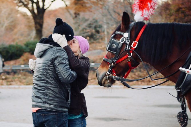 60-min-surprise-proposal-carriage-ride-2