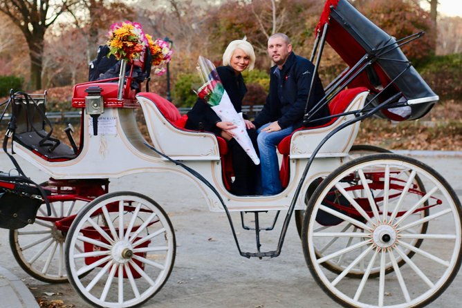60-min-surprise-proposal-carriage-ride
