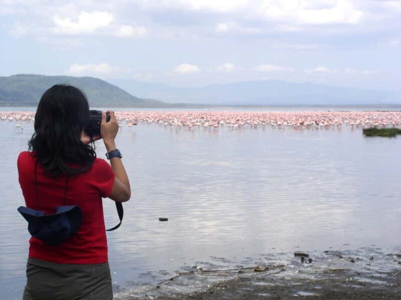 6Days Ol Pejeta, Aberdare, Lake Nakuru and Masai Mara Safari - Exploring the Itinerary: What You Can Expect