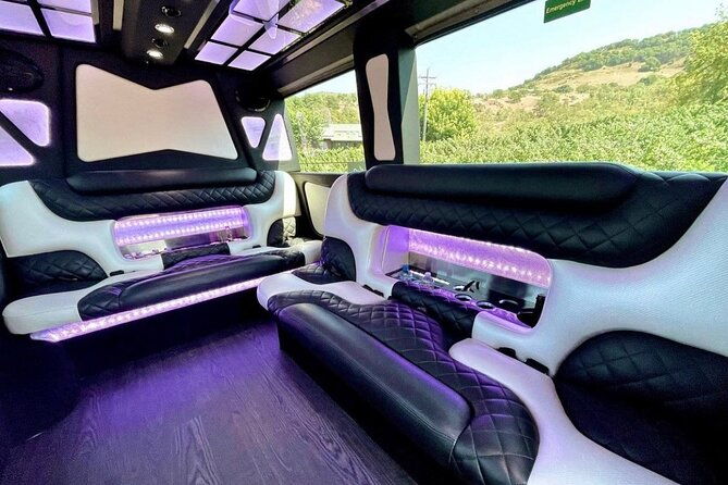 6hr-7-passenger-mercedes-sprinter-limo-van-private-tour-2