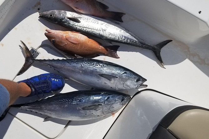 6hr-fishing-charter