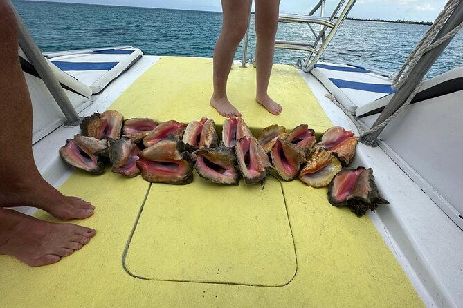 6hr-provo-cays-exploration-with-lunch-in-gracebay